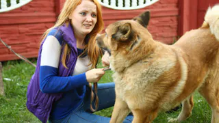 На рязанскую школьницу натравили собаку две ее соседки