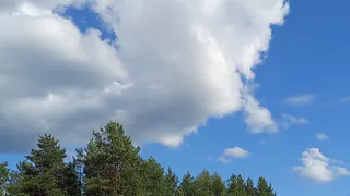 Юг накроют дожди, а на севере будет солнечно: погода в Коми 24 августа