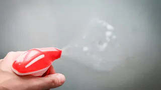 После такой обработки «туалетная муха» больше не беспокоит: вредитель будет полностью уничтожен за несколько минут