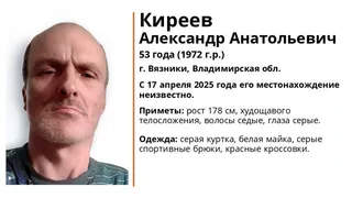 В регионе ищут 53-летнего жителя Вязников в серой куртке и красных кроссовках
