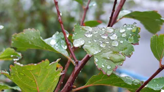 5 сентября в Нижнекамске будет пасмурно и дождливо
