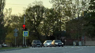 Стоишь на желтой линии — готовь деньги: что нужно знать о запрещающей разметке