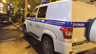 Жительница Михайловского района попала под дело за кражу елей