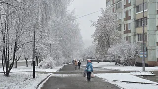 Этому знаку пообещали лучший год за 12 лет: астролог Володина назвала ключевые месяцы 2026-го