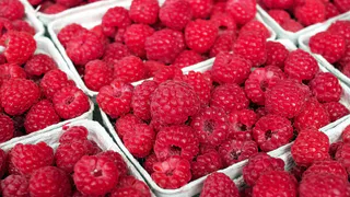 Рязанский фестиваль Малины вошел в ТОП-3 самых популярных российских фестивалей