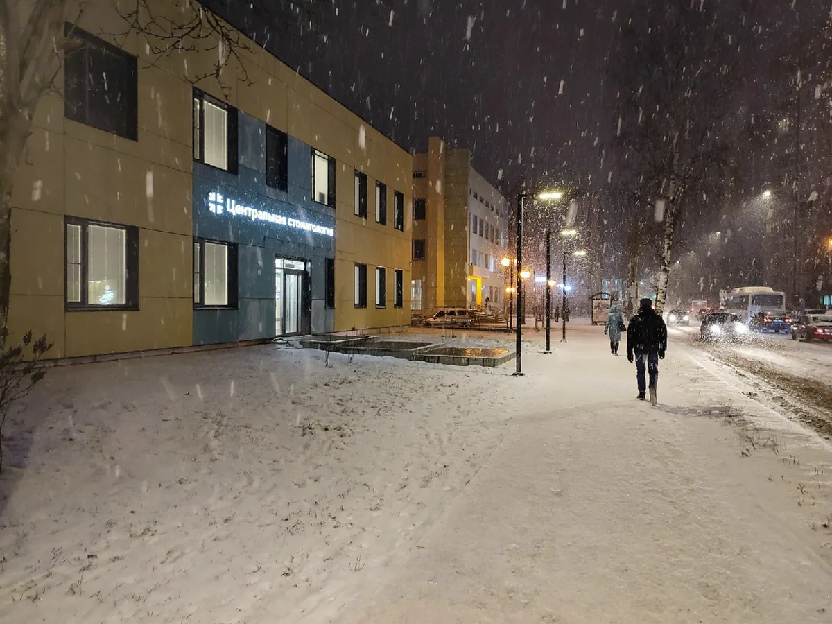 Метеорологи прогнозируют снегопады и метели в Челябинской области