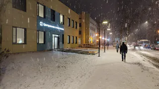 Метеорологи прогнозируют снегопады и метели в Челябинской области