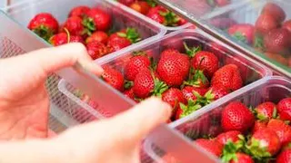 Назван легкий и доступный способ хранения клубники