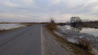 У села Заокское под Рязанью паводок подобрался к автодороге