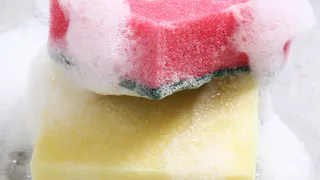 Хранение кухонных губок в холодильнике: две причины, которые изменят ваше представление об их использовании