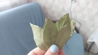 Ушлые хозяйки кладут под ковер лаврушку: так избавляются от надоевших проблем — нужно всего 4 листочка