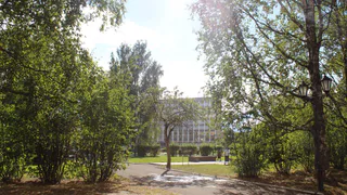 На День России в Сыктывкаре пройдут фестивали и интерактивные площадки