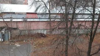 Народный контроль: - Во дворе валяются мусор и сломанные деревья!