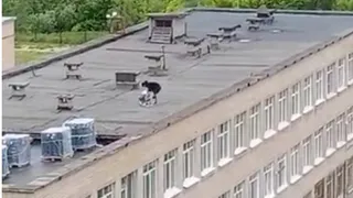 В Рязани очевидцы заметили "битву" на кровле школы