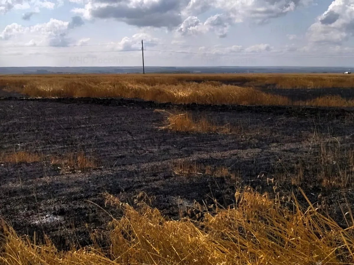 В Чувашии огнеборцы тушили пожар на овсяном поле и в жилом доме