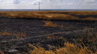 В Чувашии огнеборцы тушили пожар на овсяном поле и в жилом доме