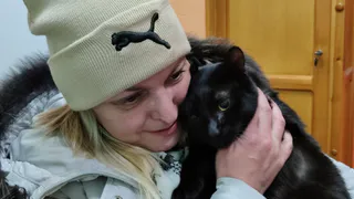 Предновогоднее чудо: в Ухте пропавшего полгода назад кота вернули хозяевам