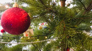 Главную новогоднюю ель Рязани начали устанавливать на площади Ленина