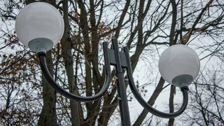 Во вторник две улицы Рязани останутся без света из-за работ по опиловке деревьев