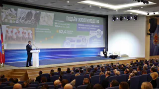 Во Владимирской области ощутимо развивается агропромышленный комплекс