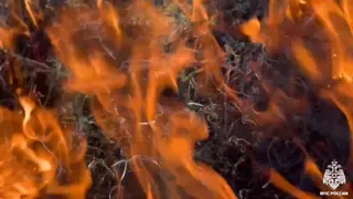 В южных районах Коми объявлена чрезвычайная пожароопасность