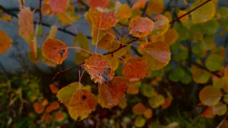 Похолодание и кратковременные осадки: погода в Чувашии 19 октября