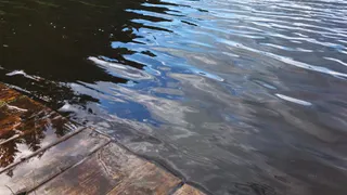В Рязани из водоема достали тело человека