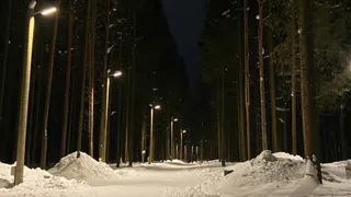 Усинск встречает 17 апреля зимним дыханием: облака, снег и минусовая температура