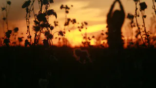 Подробный гороскоп на сегодня: лев будет купаться в любви и ласке