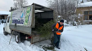 Трудинспекция Коми отказала в удовлетворении 90% жалоб на бездействие должностных лиц