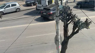 На улице Дзержинского в Рязани ДТП с маршруткой №90 вызвало пробку