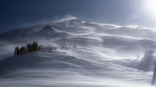 МЧС предупредил горожан об усилении ветра и ухудшении видимости