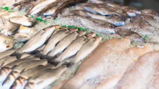 Названа самая полезная рыба - ешьте 2 раза в неделю, насыщена селеном, фосфором и хороша на вкус