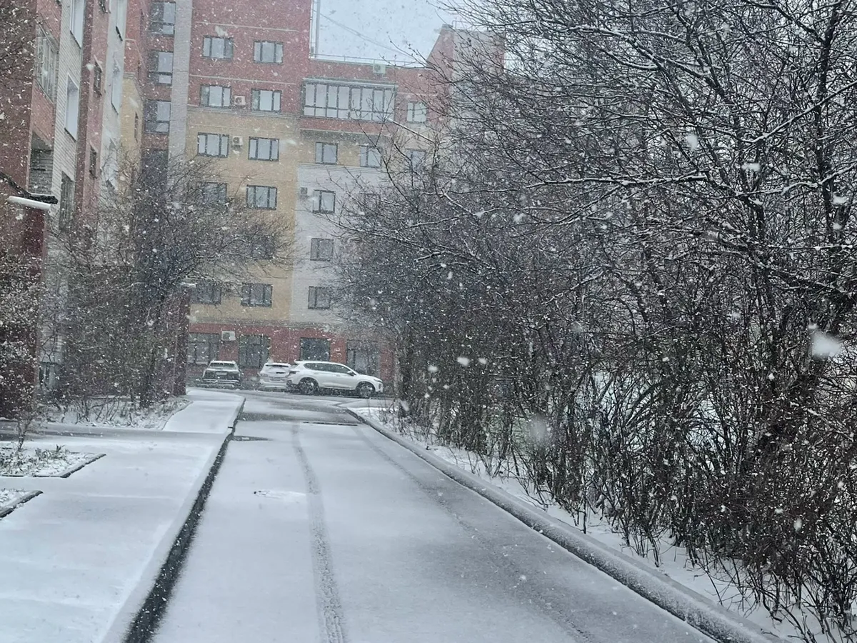 Профессор КФУ рассказал, когда жителям Татарстана ждать первый снег