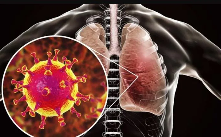 Первые признаки