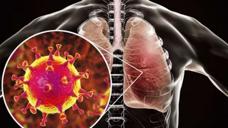 Первые признаки