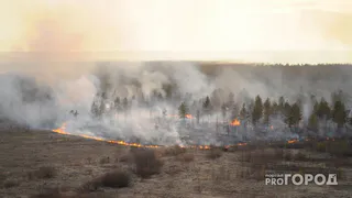 В Рязанской области из-за пожаров эвакуировали жителей деревни Ольгино