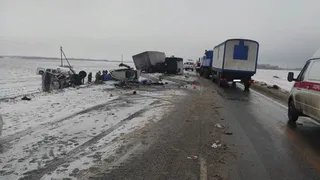 В ГИБДД сообщили новые подробности массовой смертельной аварии под Унечей