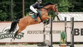 Владимирцы завоевали шесть медалей на международном турнире по конкуру