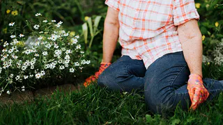 Подмосковные дачники из-за атак беспилотников и отключения связи массово переходят на проводной интернет