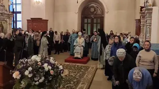 Митрополит Рязанский и Михайловский Марк высказался о пороке пьянства