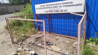 Жителей Рязани призывают сдавать использованные шины на переработку