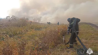 В Спасском районе закрыли для посещения Окский заповедник после введения ЧС