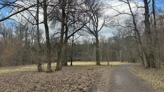 В Рязанской области за последние сутки 8 раз выезжали тушить сухую траву и мусор