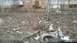 «В основном вся грязь от маршрутчиков»: рязанцы жалуются на мусор в Дубовой роще