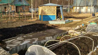 Дачников предупредили, что надо успеть сделать с огородом до конца октября