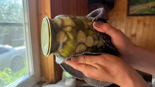 Почти все хозяйки совершают эту ошибку: вот почему соленые огурцы теряют хруст и становятся мягкими и склизкими