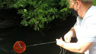 Наложили штраф: Минприроды наказало виновного в загрязнении ручья Песоченка