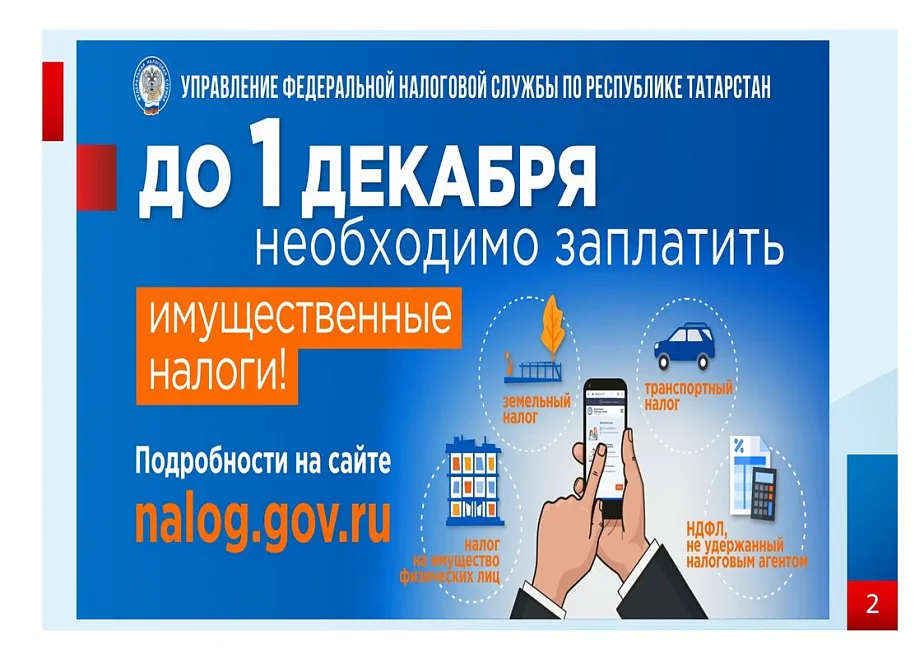 Нижнекамцам рассказали, какие налоги нужно уплатить до 1 декабря