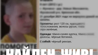 Пропавшего в Брянской области девятилетнего мальчика нашли живым